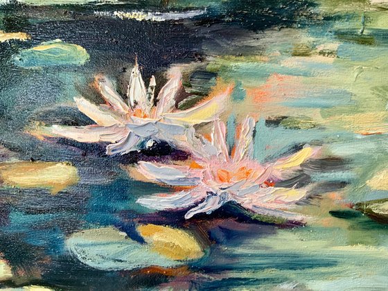 Water lilies in the pond