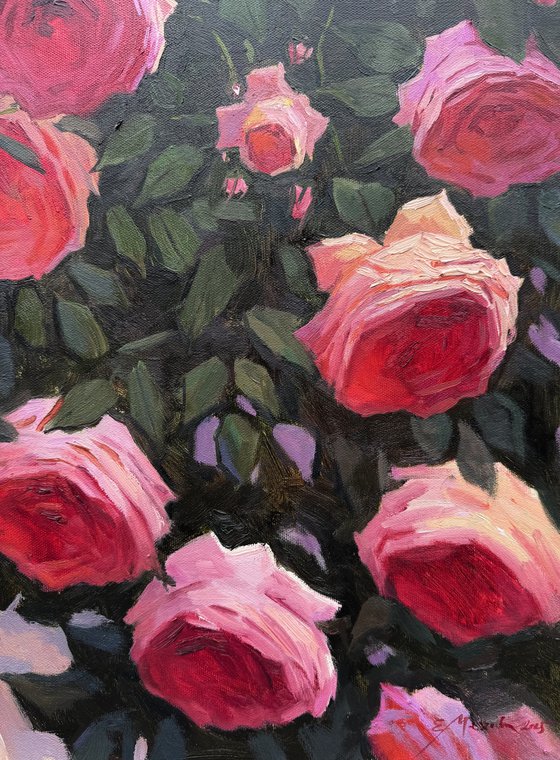 Pink Roses