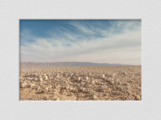 Desert landscape