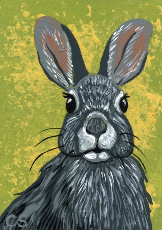 ACEO ATC Original Miniature Painting Bunny Rabbit Wildlife  Pet Art-Carla Smale