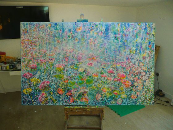 Summer Waterlilies 2025