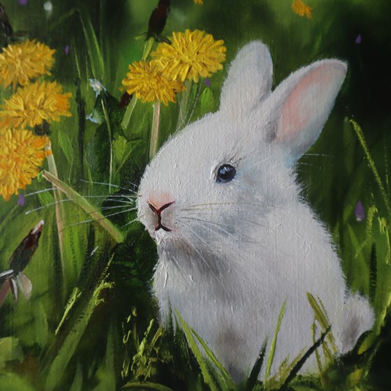 Bunny and Dandelions