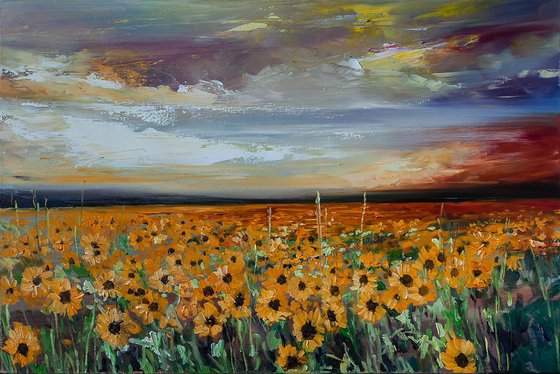 'Sunflower field after storm'