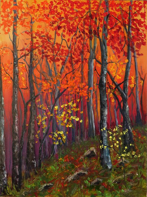 Autumn Blaze by Marion Derrett