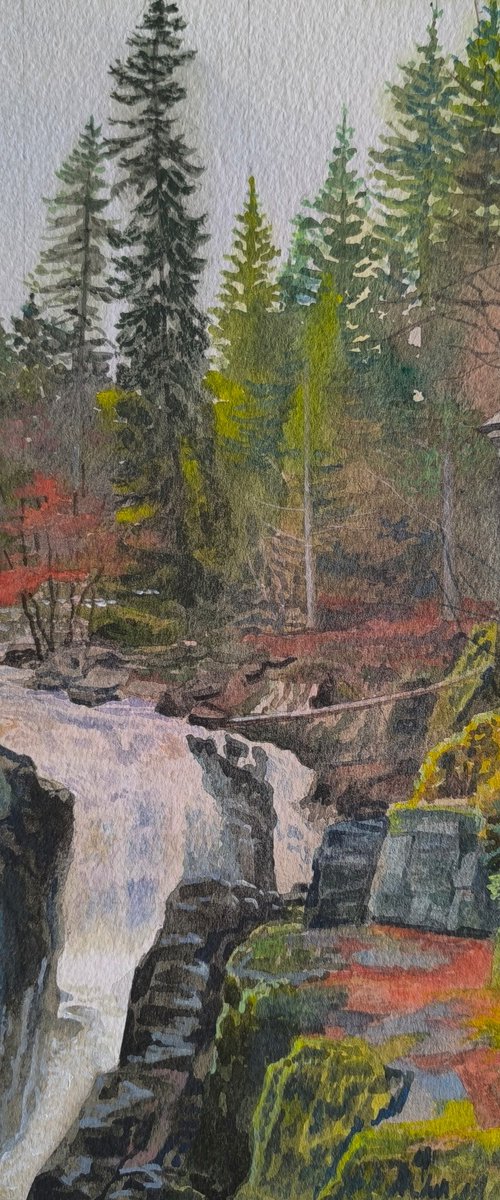 Gallons Tumbling by Neil McVicar