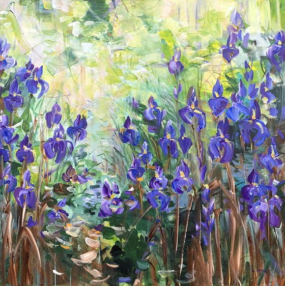 Blue irises