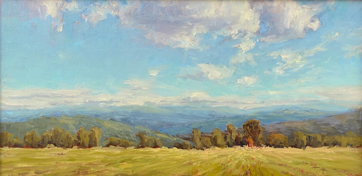 Wide Open Spaces By Tatyana Fogarty, 20 X 10, Artwork For Sale On Artfinder
