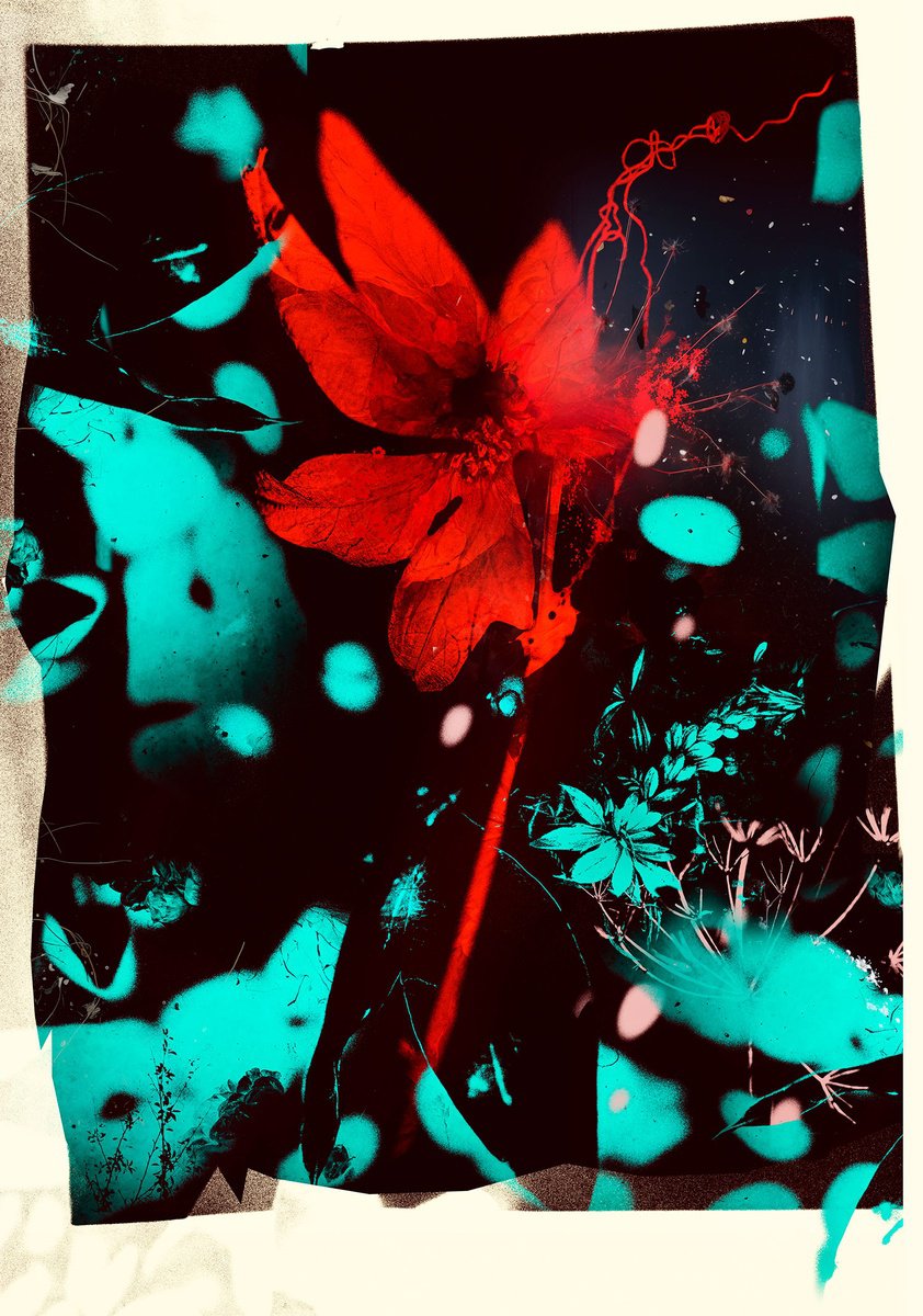 Botanical Painting By Teis Albers, 39 X 55", Just Because, Original Artwork