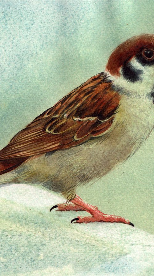 Sparrow by REME Jr.