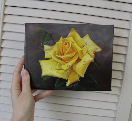 Yellove rose