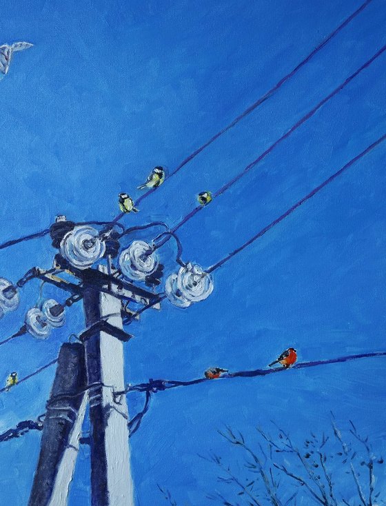 January Birds on Poles