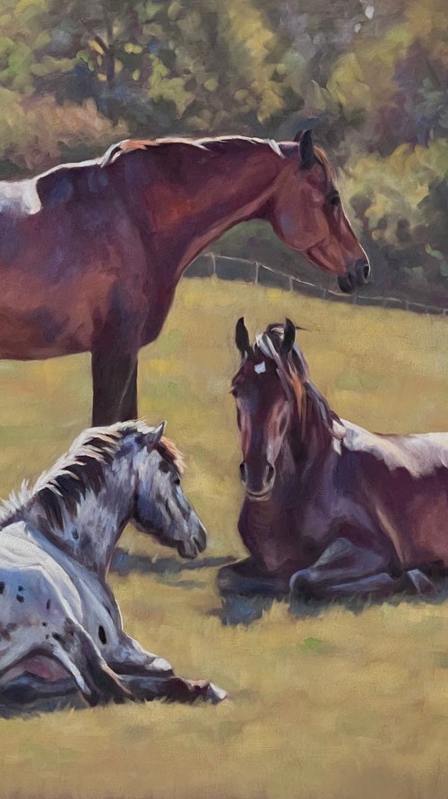 Chilling Out - Three Horses by Lorna Lancaster ASEA