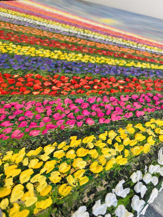 Rainbow Harvest - Tulip fields of Lisse