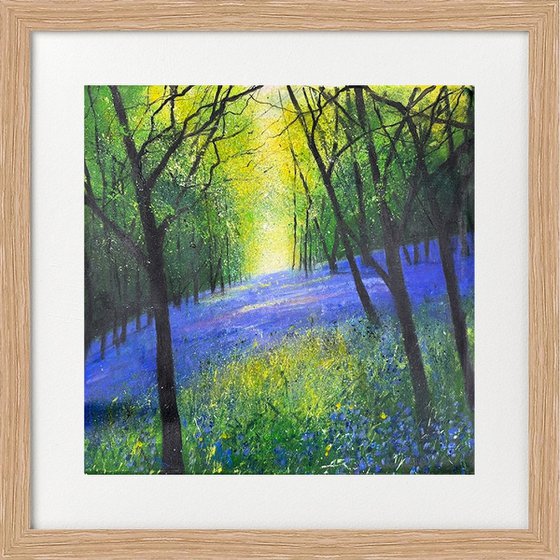 Carpet of Bluebells