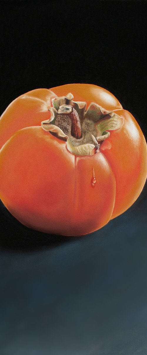 Persimmon by Dietrich Moravec