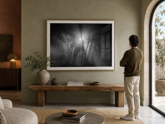 Arrival Beyond the Mist