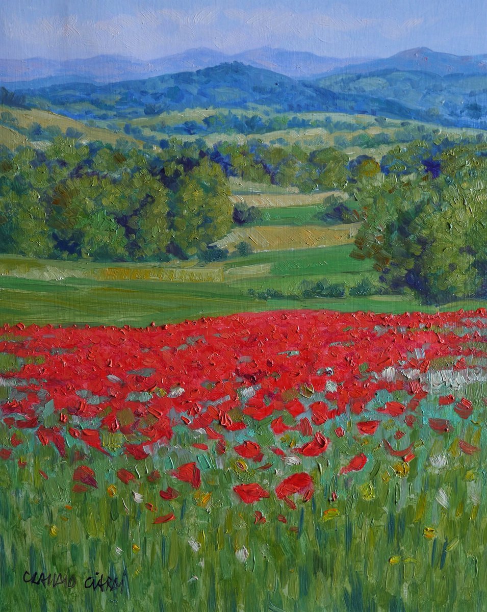 Poppy fields in Tuscany by Claudio Ciardi