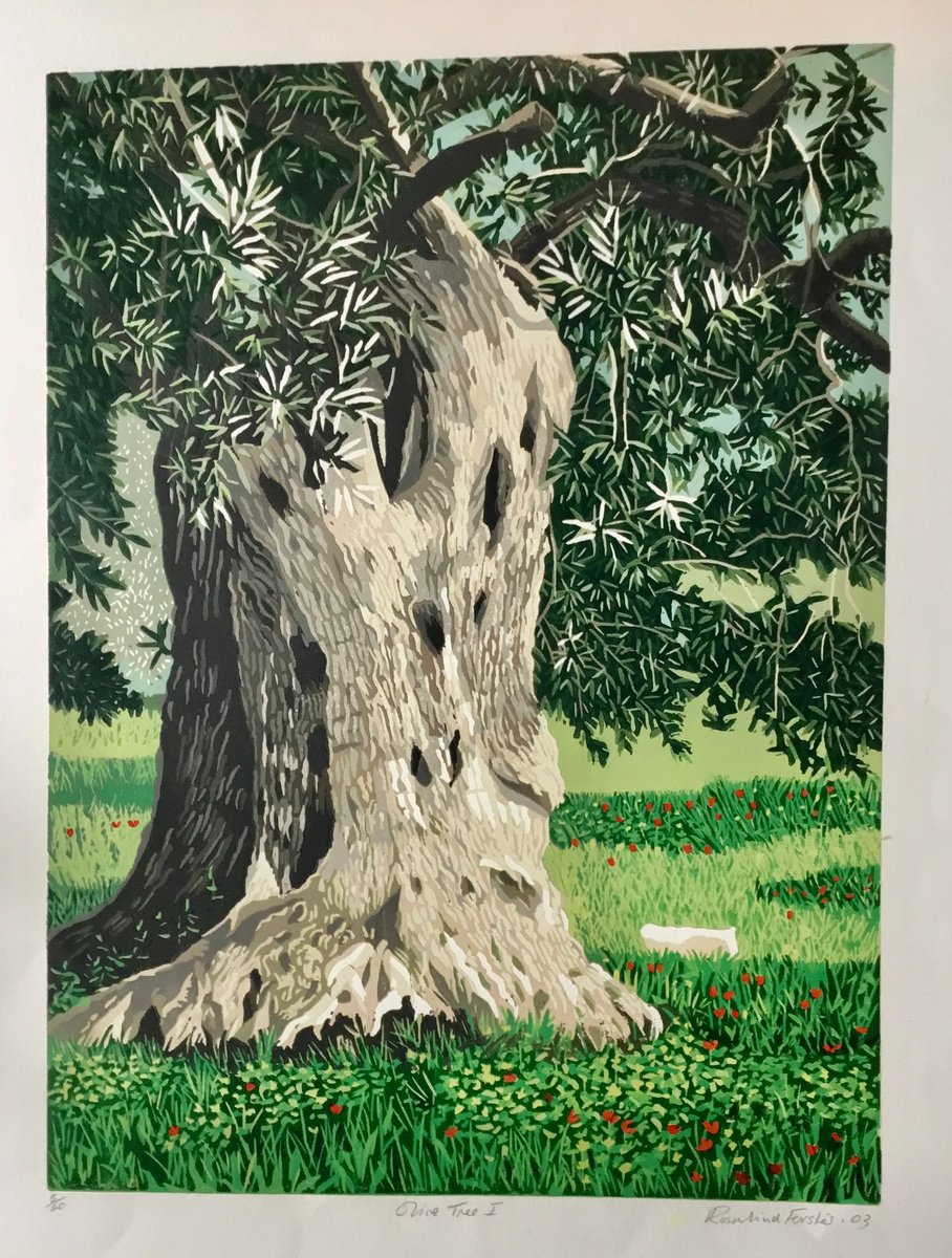 Olive Tree I by Rosalind Forster