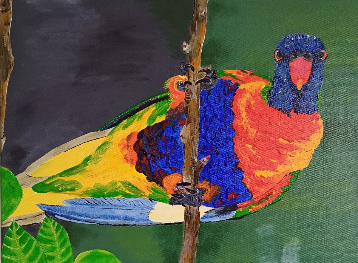 Photorealistic Animal Acrylic Painting By Corinne Hamer, 16 X 12, Rainbow Lorikeet, Original Artwork