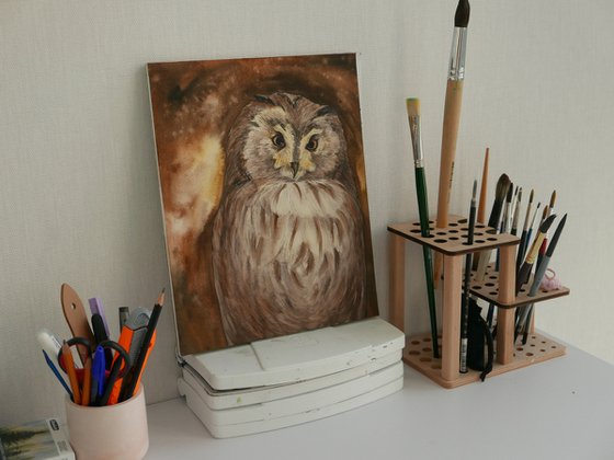 Long eared owl
