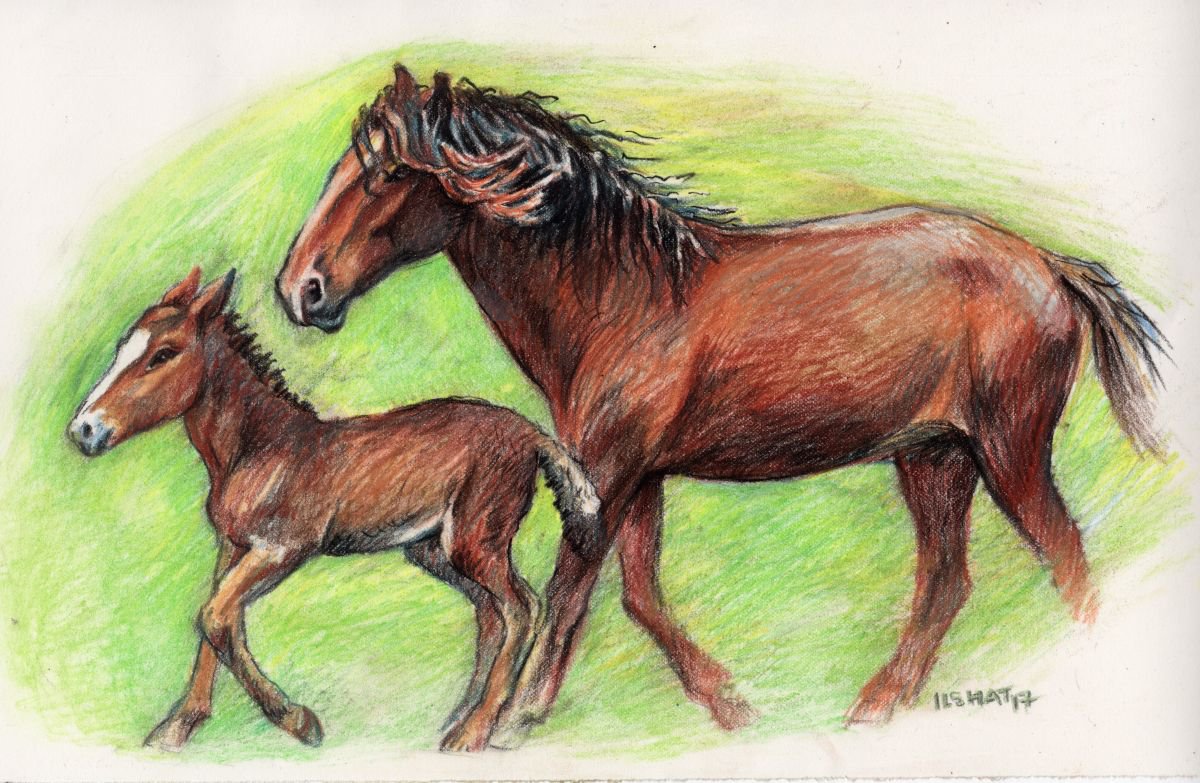 Horses running by Ilshat Nayilovich