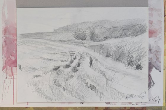 Traces in the field