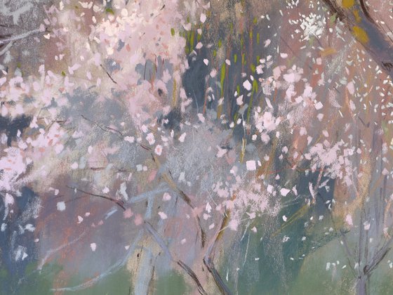 Under the almond blossoms