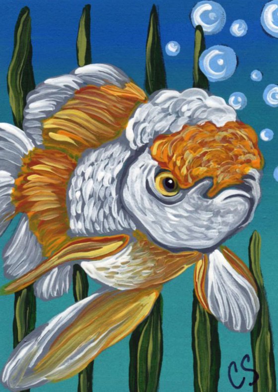 ACEO ATC Original Painting Oranda Goldfish Pet Fish Art-Carla Smale