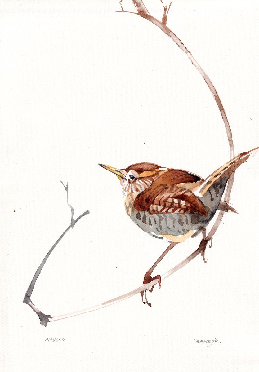 Expressive Animal Drawing By Reme Jr., 10 X 15", Bird Ccxlx - Wren, Original Artwork