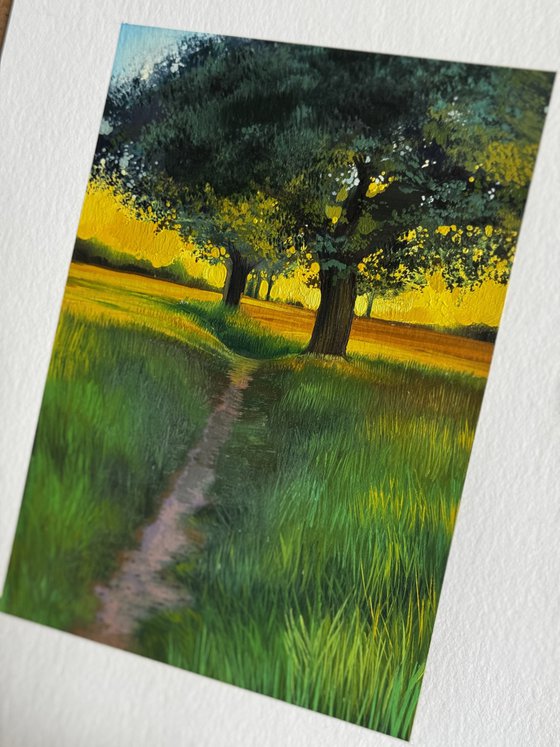 Sunset Landscape