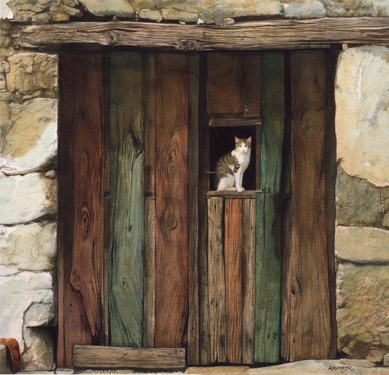 Village wood door with a cat