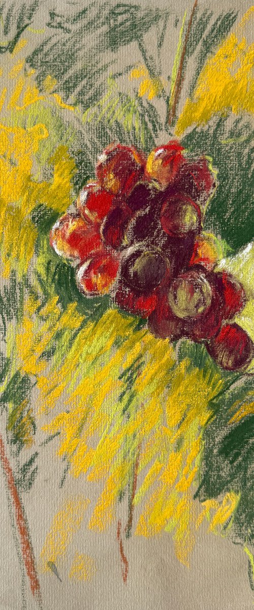 Grapes in Sunlight  plein-air by Daria Yablon-Soloviova