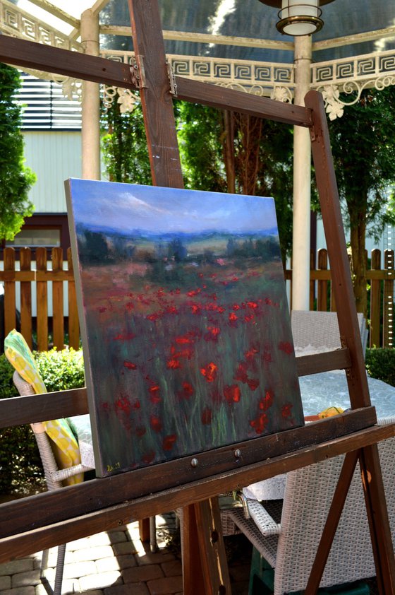 Spring poppies