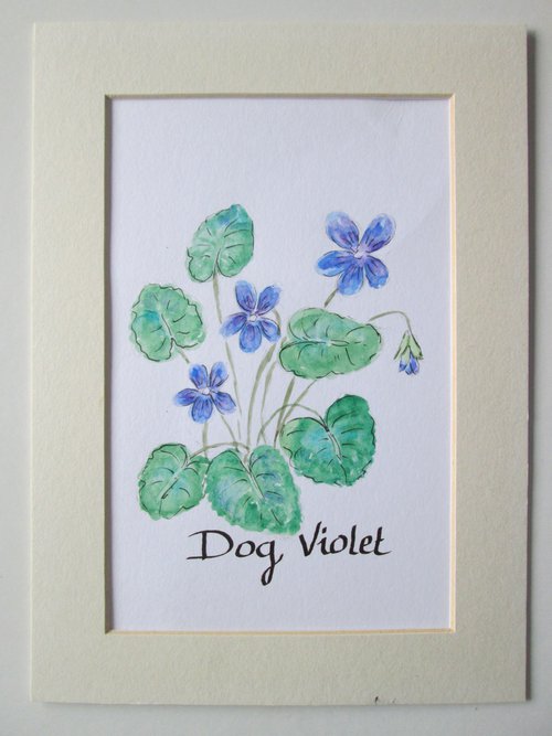Dogviolet Flowers by MARJANSART