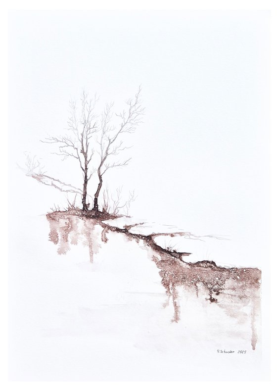Quiet Reflections