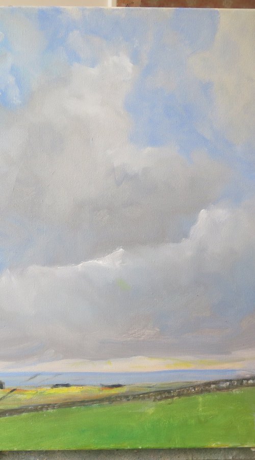 Yorkshire Wolds,  Jan 16 by Malcolm Ludvigsen