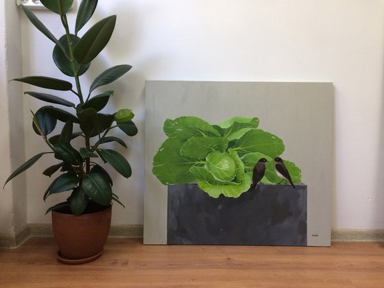 Cabbage