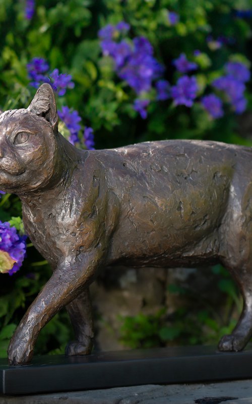 Community Cat (BR sculpture) by Tanya Russell