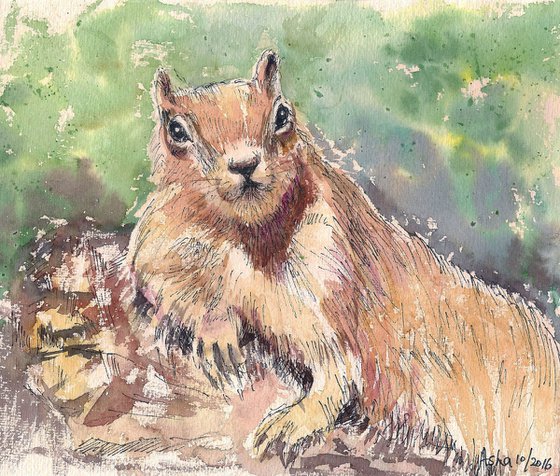 Set of Nutty Squirrels