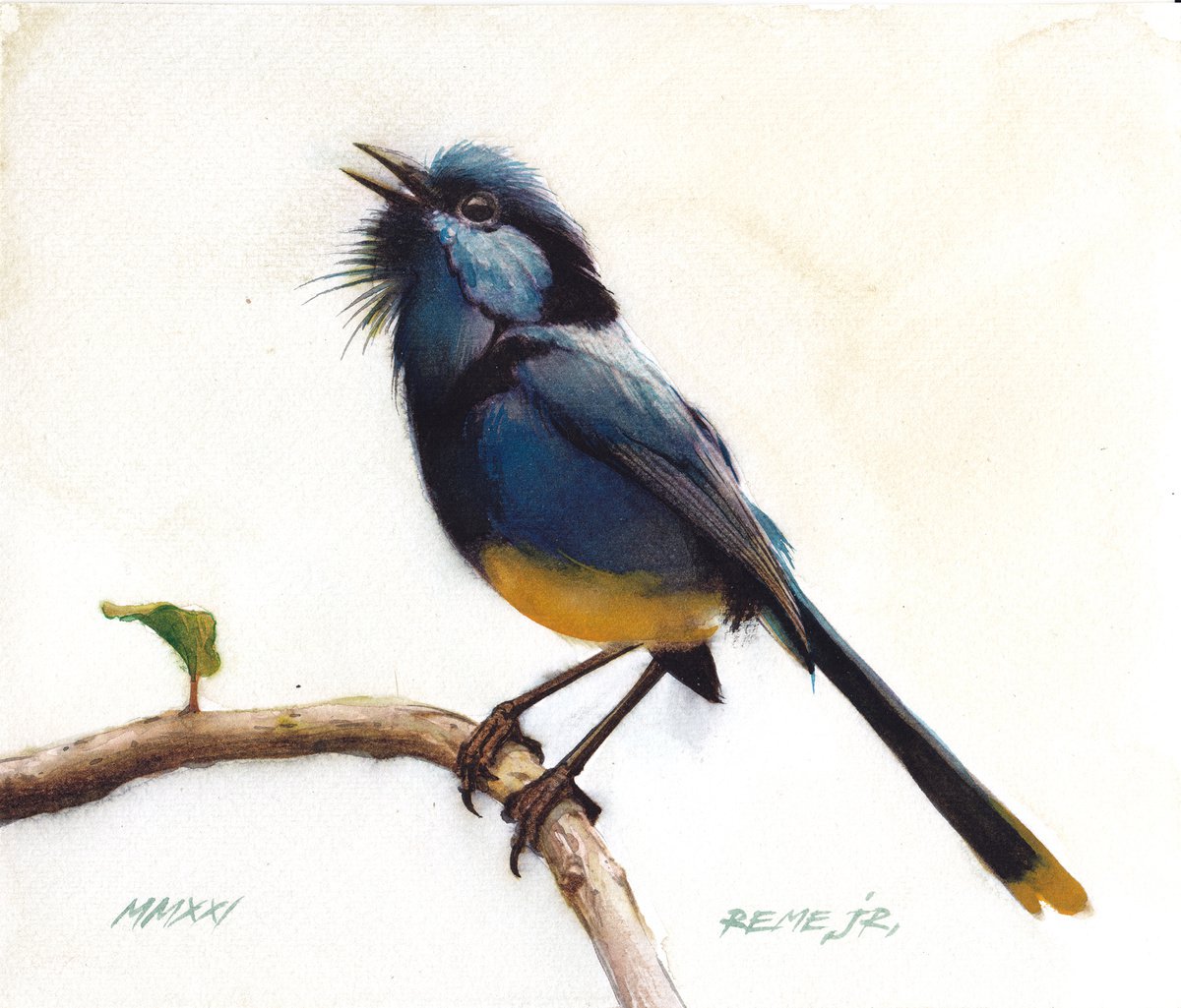 BIRD CLXVII by REME Jr.
