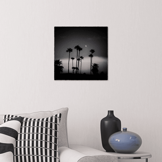 Palm Tree Moon, Anza Borrego