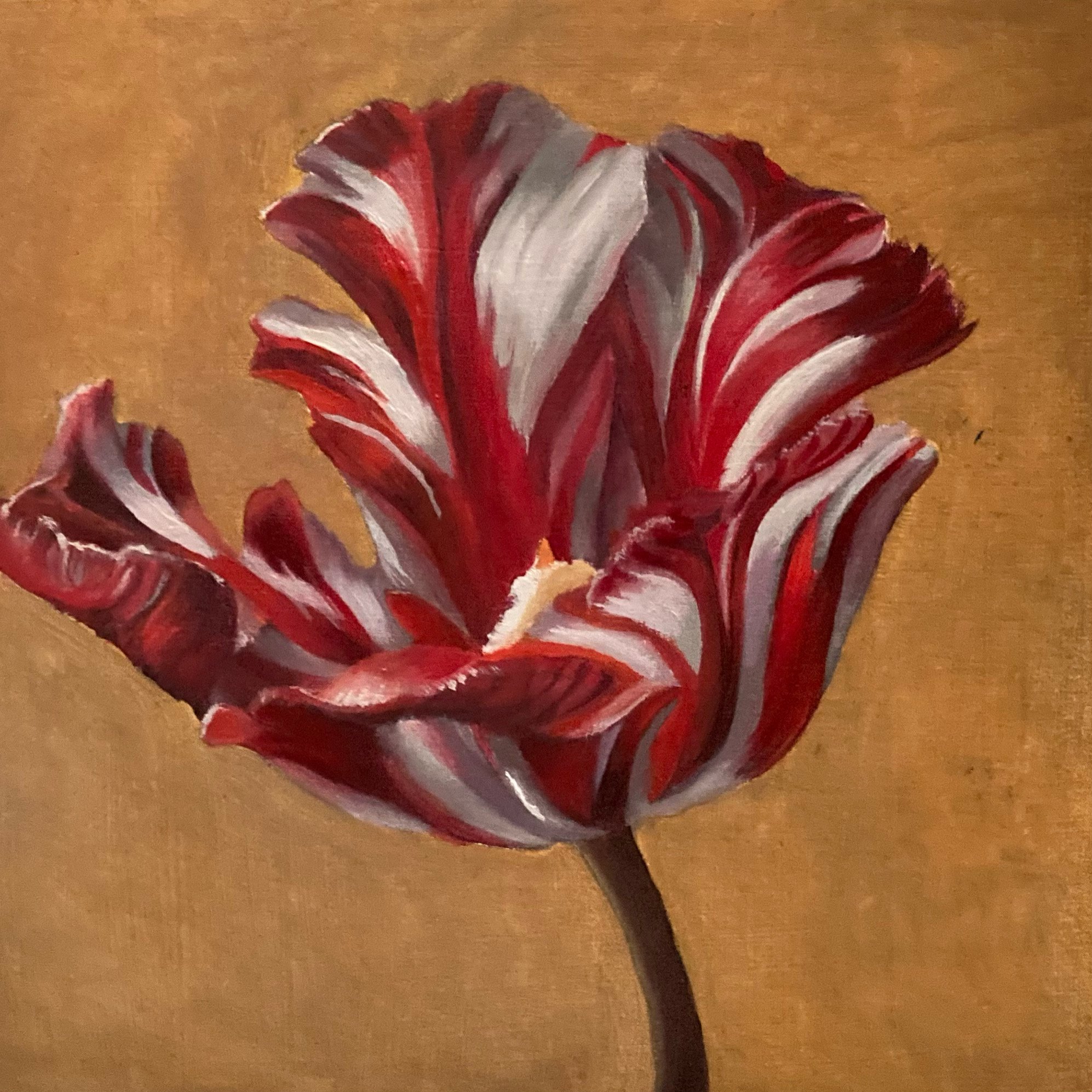 Photorealistic Botanical Oil Painting By Tatyana Holodnova, 6 X 6", Striped Tulip (2025), Original Artwork