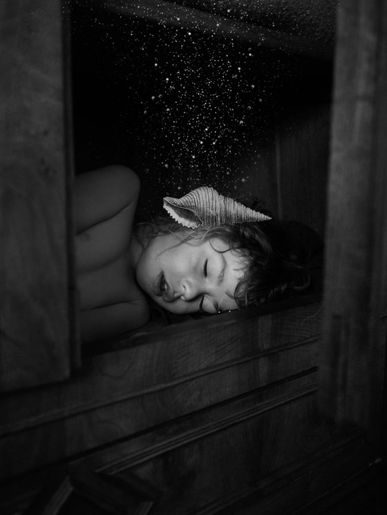The Dream of the Seashell