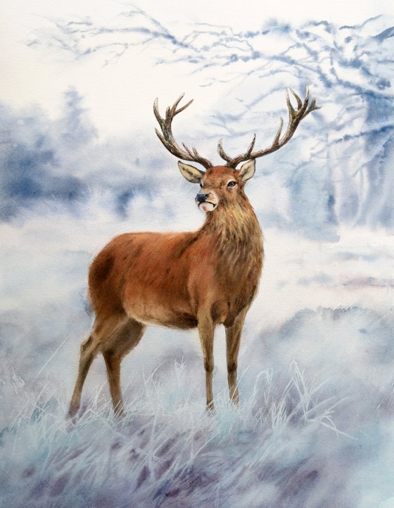 Stag Deer in Winter Forest - Christmas gift