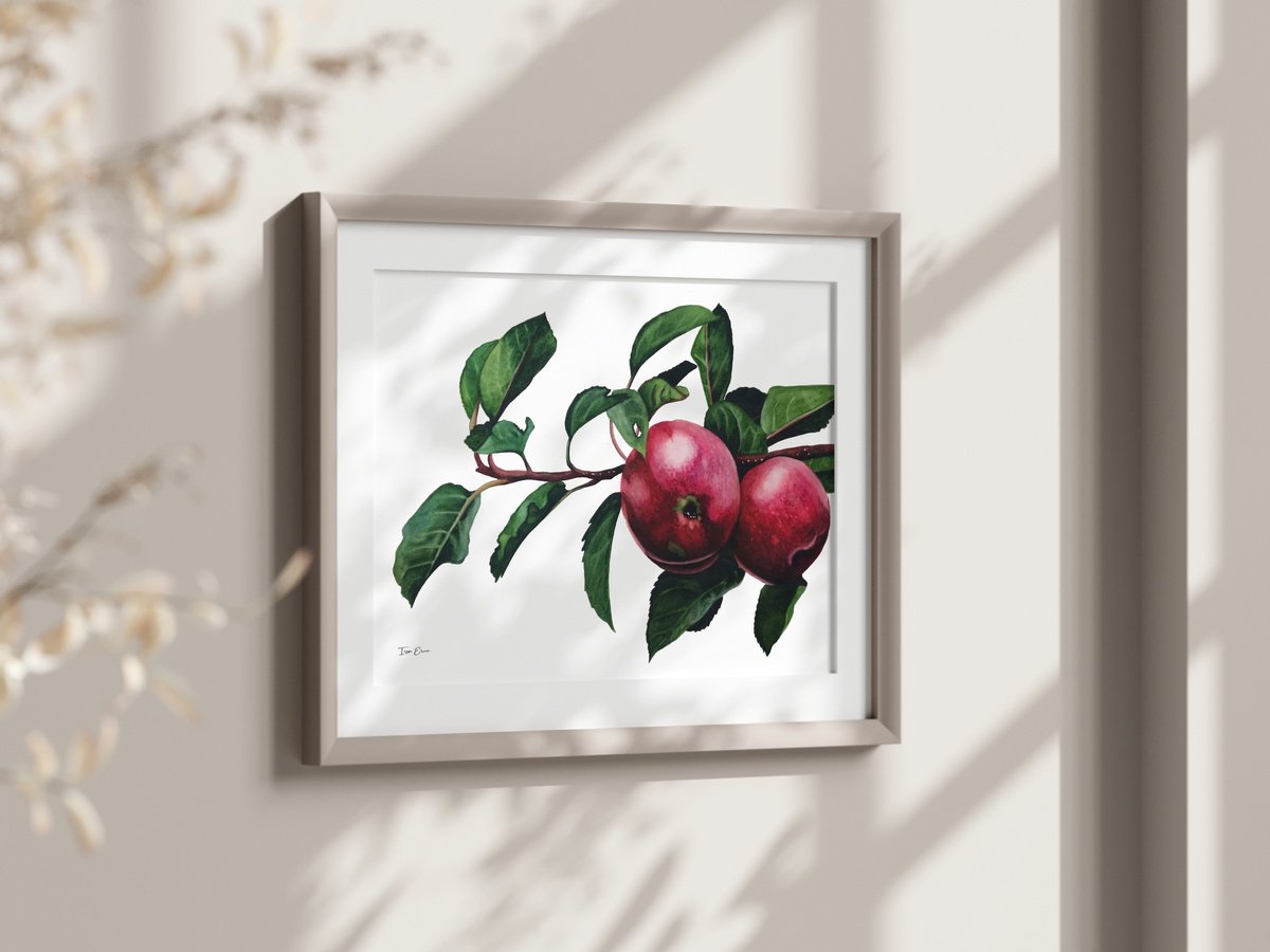 Photorealistic Watercolour , Apple Branch By Irsa Ervin, 16 X 12, Artwork For Sale On Artfinder