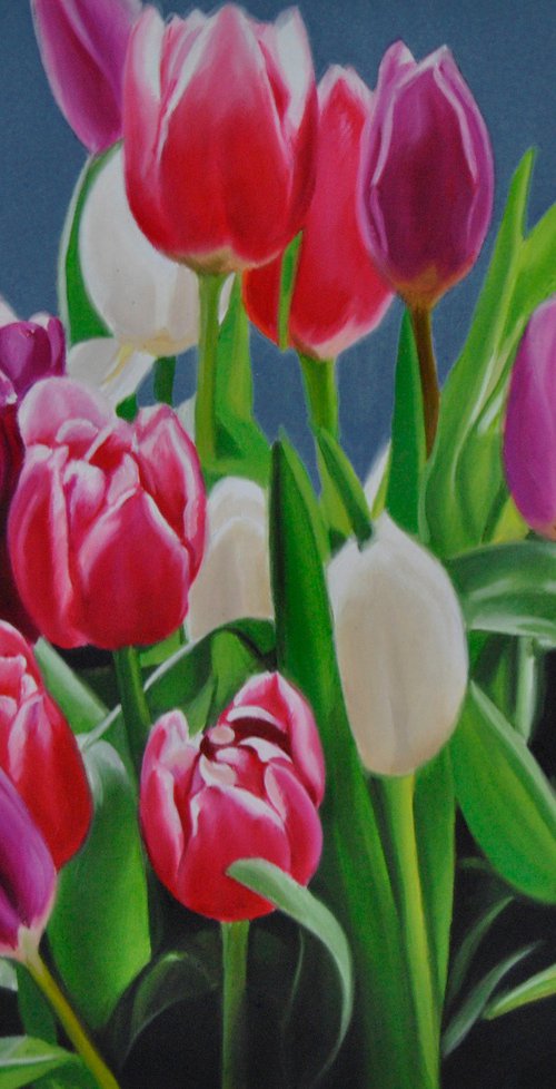 Tulips by Simona Tsvetkova