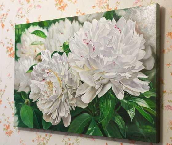 Peonies