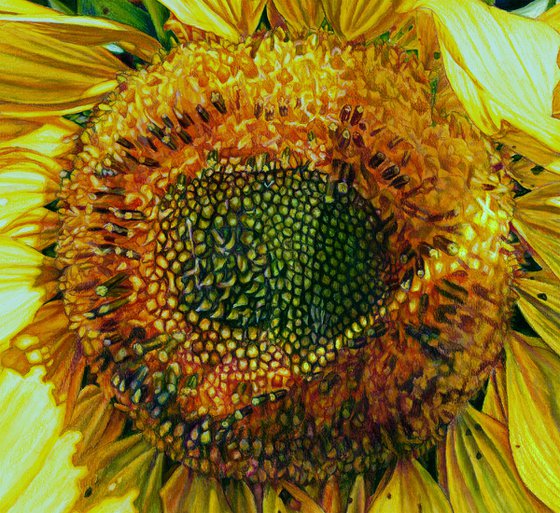 Original Sunflower Painting, Sunbeam on a Sunflower, Floral Wall Art