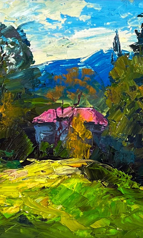 The House with the Pink Roof by Boris Serdyuk