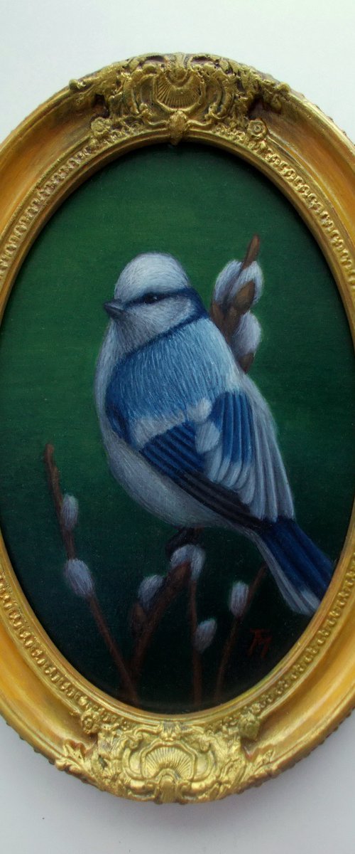 "White tit" bird art by Tatyana Mironova